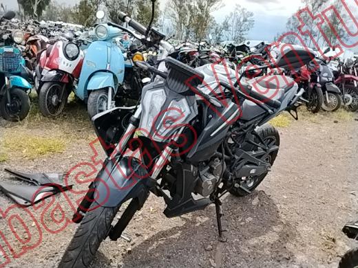 VENTO STORM 2025, foto 1 de 19