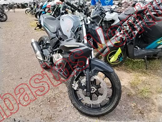 VENTO STORM 2025, foto 3 de 19
