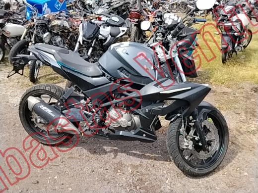 VENTO STORM 2025, foto 4 de 19