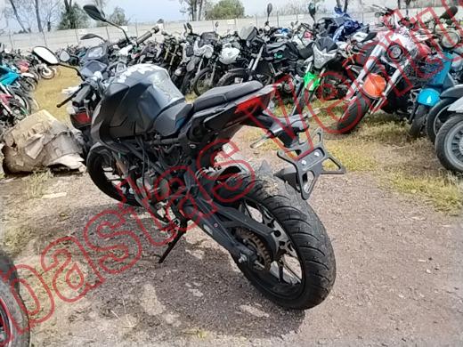 VENTO STORM 2025, foto 7 de 19
