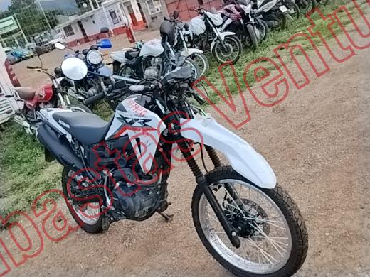 HONDA XR 2026, foto 3 de 19