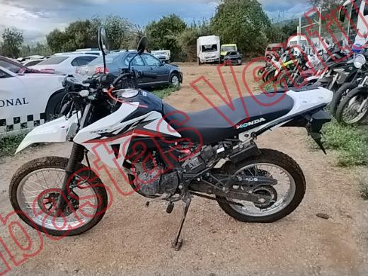 HONDA XR 2026, foto 8 de 19