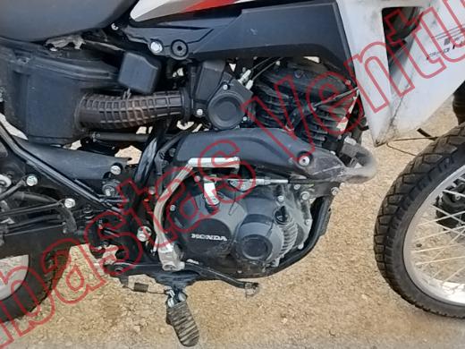 HONDA XR 2026, foto 11 de 19