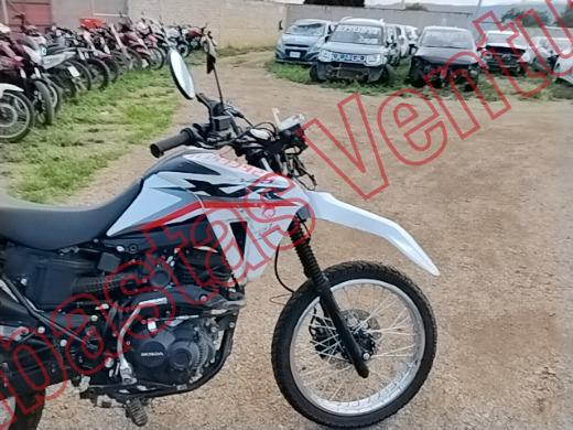 HONDA XR 2026, foto 12 de 19