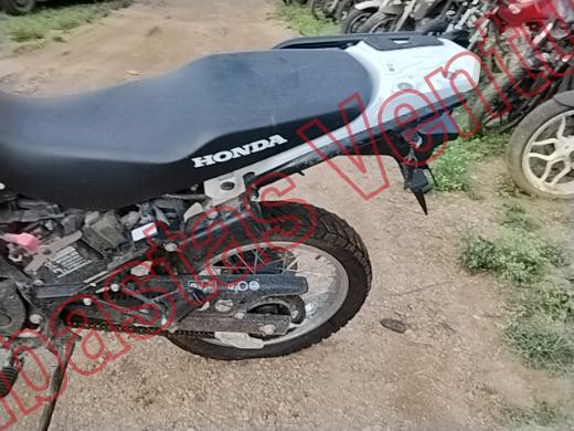 HONDA XR 2026, foto 16 de 19