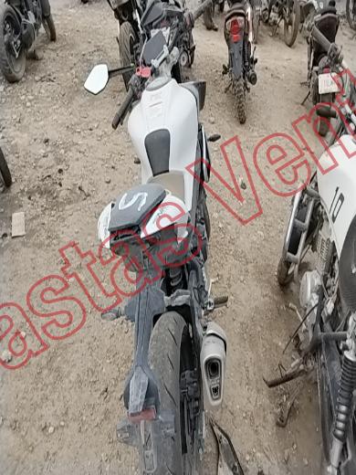 CF MOTO CF 450 2024, foto 6 de 19
