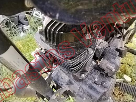 ITALIKA FT125 2021, foto 10 de 19