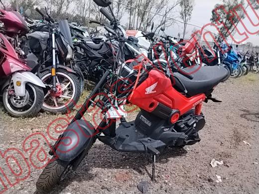 HONDA NAVI AM 2024, foto 1 de 19