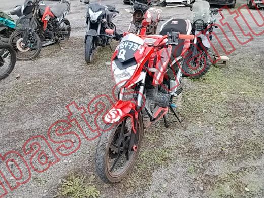 ITALIKA FT250 2025, foto 1 de 19