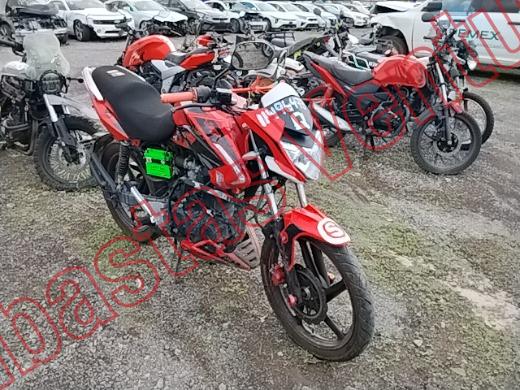 ITALIKA FT250 2025, foto 3 de 19