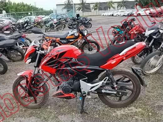 ITALIKA FT250 2025, foto 8 de 19