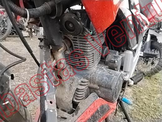 ITALIKA FT250 2025, foto 10 de 19