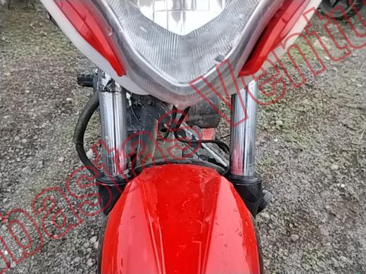 ITALIKA FT250 2025, foto 18 de 19