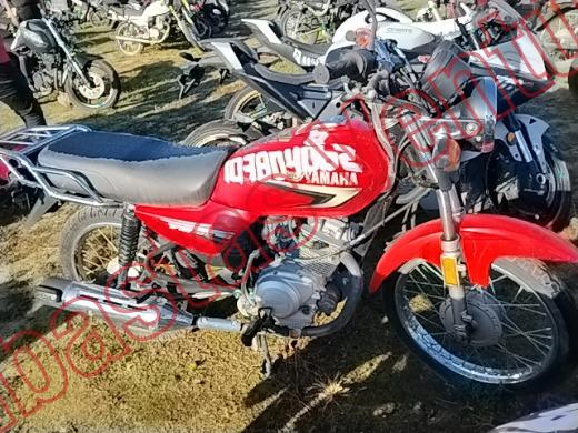 YAMAHA YB125 2025, foto 4 de 19