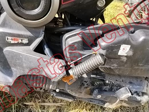 HONDA NAVI AM 2024, foto 9 de 19