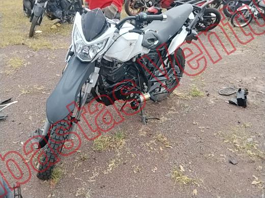 VENTO WORKMAN 2025, foto 1 de 19