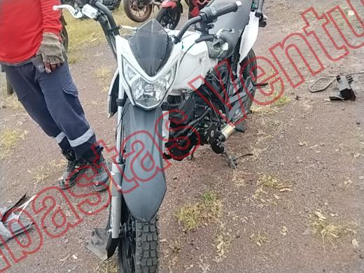 VENTO WORKMAN 2025, foto 2 de 19