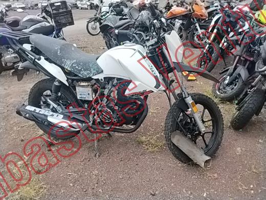 VENTO WORKMAN 2025, foto 4 de 19