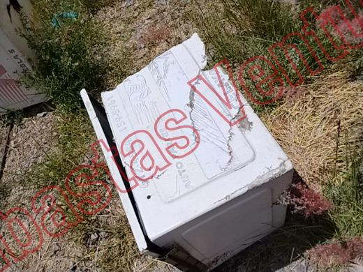VARIOS REJA 2019, foto 3 de 19