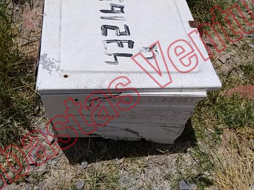 VARIOS REJA 2019, foto 9 de 19