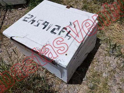VARIOS REJA 2019, foto 10 de 19