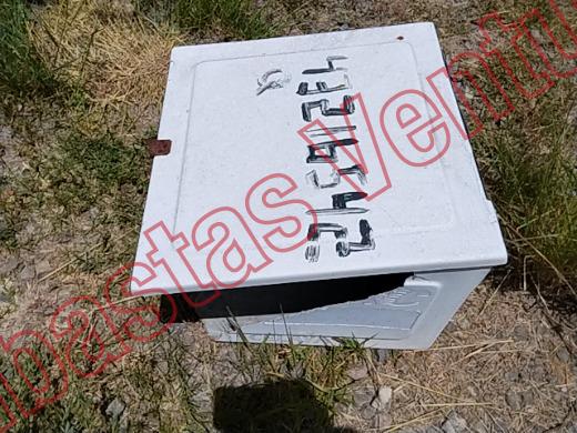 VARIOS REJA 2019, foto 11 de 19