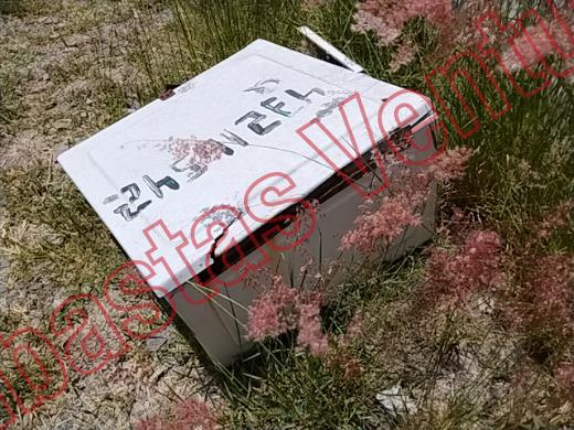 VARIOS REJA 2019, foto 18 de 19