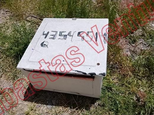VARIOS REJA 2019, foto 2 de 19