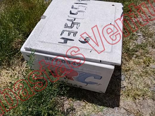 VARIOS REJA 2019, foto 4 de 19