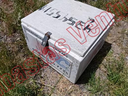 VARIOS REJA 2019, foto 6 de 19