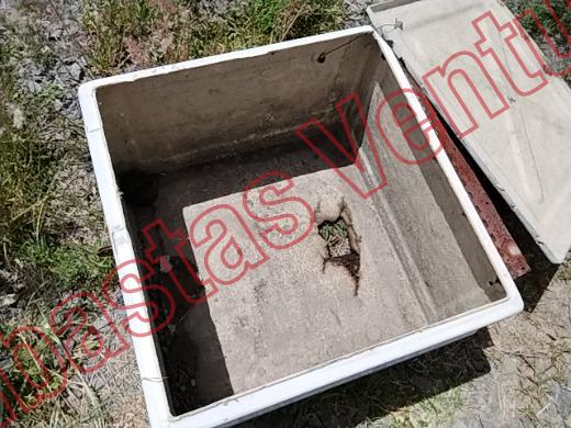 VARIOS REJA 2019, foto 7 de 19