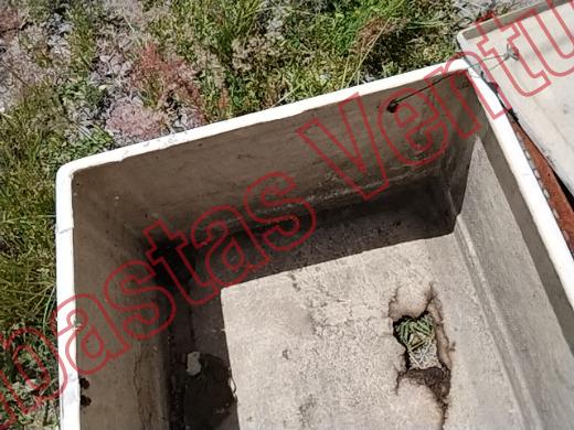VARIOS REJA 2019, foto 8 de 19