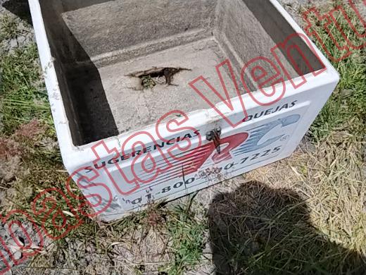 VARIOS REJA 2019, foto 9 de 19