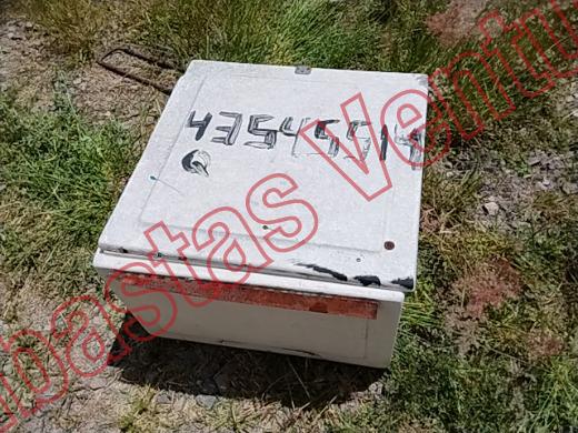 VARIOS REJA 2019, foto 13 de 19