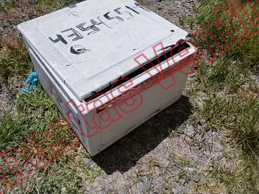 VARIOS REJA 2019, foto 17 de 19