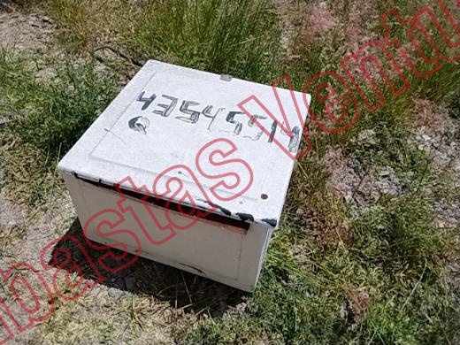 VARIOS REJA 2019, foto 18 de 19