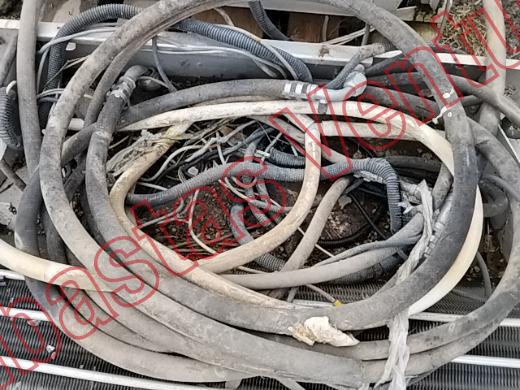 VARIOS THERMO 2019, foto 13 de 19