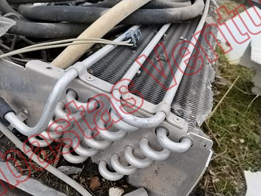 VARIOS THERMO 2019, foto 16 de 19