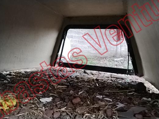 OTROS OTROS 2019, foto 15 de 19