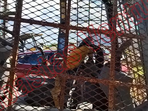 KOMATSU RETROEXCAVADORA  2017, foto 16 de 19