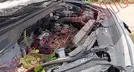 BAIC X55 2024, foto 11 de 19