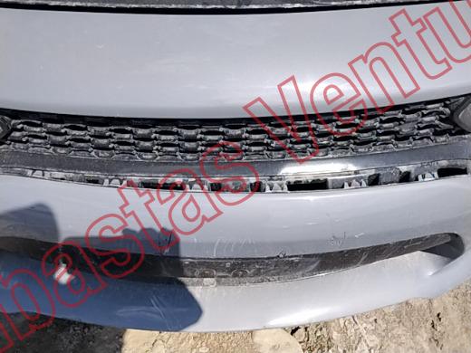 DODGE CHARGER 2019, foto 18 de 19
