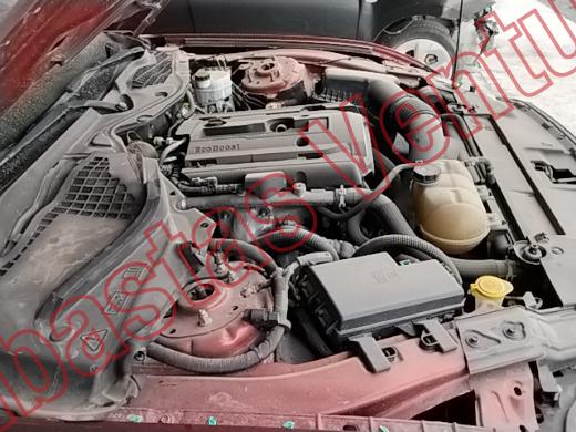 FORD MUSTANG 2018, foto 11 de 19