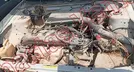 NISSAN TSURU 1997, foto 10 de 19
