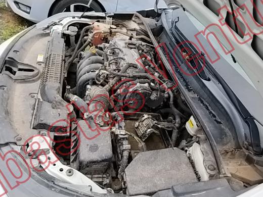 TOYOTA COROLLA 2021, foto 9 de 19