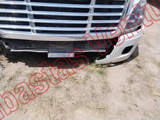 FREIGHTLINDER CASCADIA 2019, foto 18 de 19