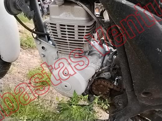 HONDA GL 150  2024, foto 9 de 19