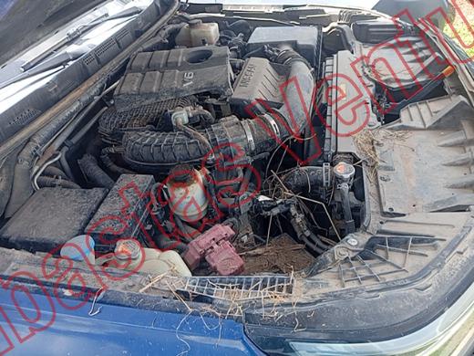 NISSAN FRONTIER  2022, foto 11 de 19