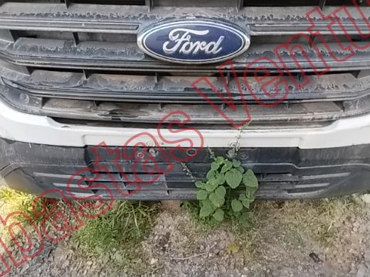 FORD TRANSIT VAN 2020, foto 18 de 19