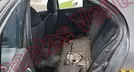 NISSAN MARCH 2017, foto 16 de 19